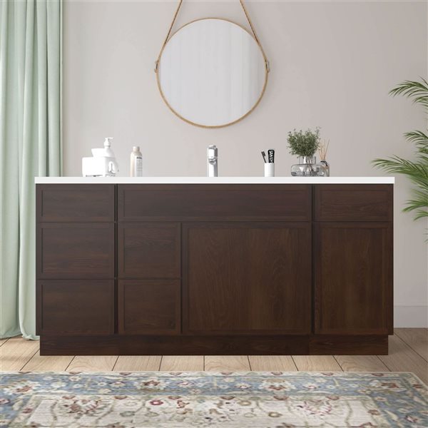 Vanity Art 66-in W x 21-in D x 32.5-in Freestanding 2-Left-Drawer Bath Vanity Birch Cabinet without Top - Brown