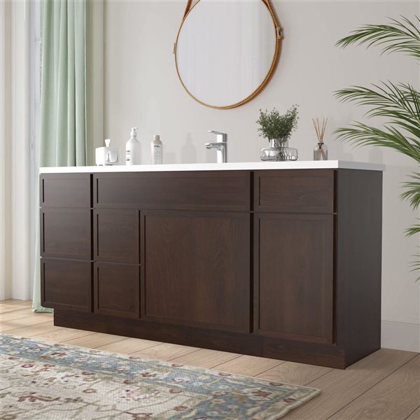 Vanity Art 66-in W x 21-in D x 32.5-in Freestanding 2-Left-Drawer Bath Vanity Birch Cabinet without Top - Brown