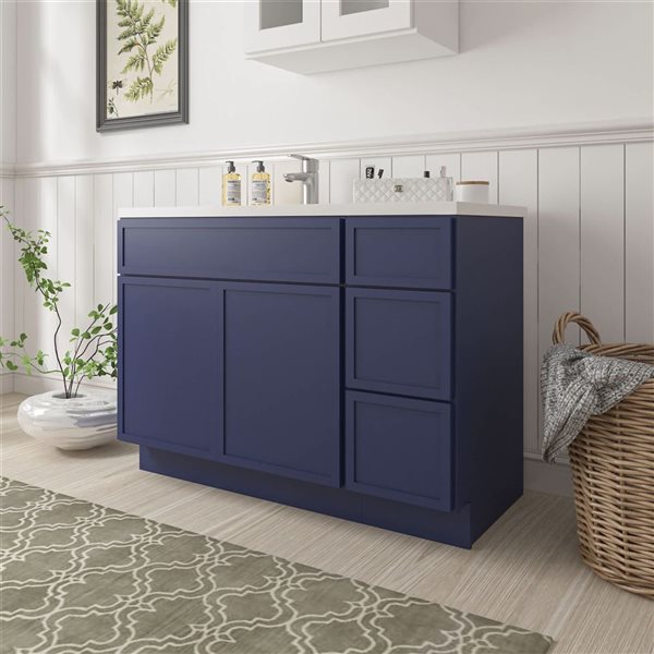 Vanity Art 42-in W x 21-in D x 32.5-in Freestanding Bath Vanity Birch Cabinet without Top - Blue