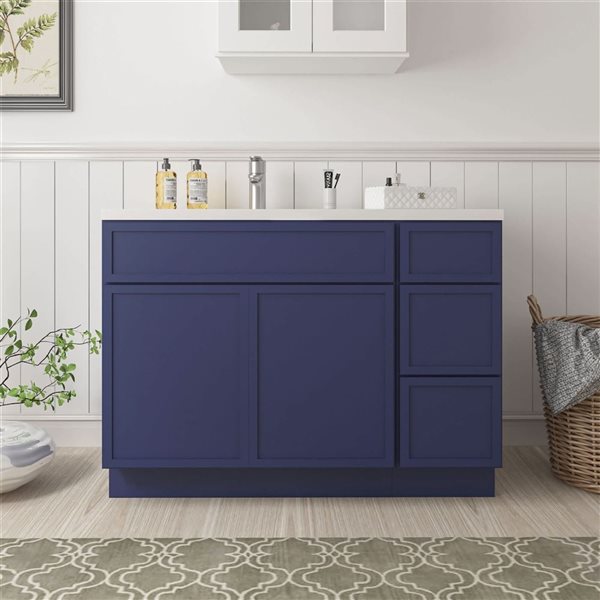 Vanity Art 42-in W x 21-in D x 32.5-in Freestanding Bath Vanity Birch Cabinet without Top - Blue