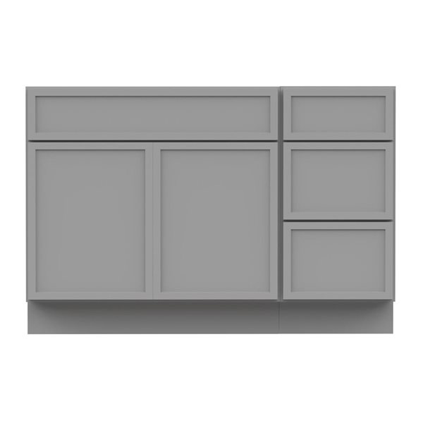 Vanity Art 54-in W x 21-in D x 32.5-in Freestanding Bath Vanity Birch Cabinet without Top - Grey