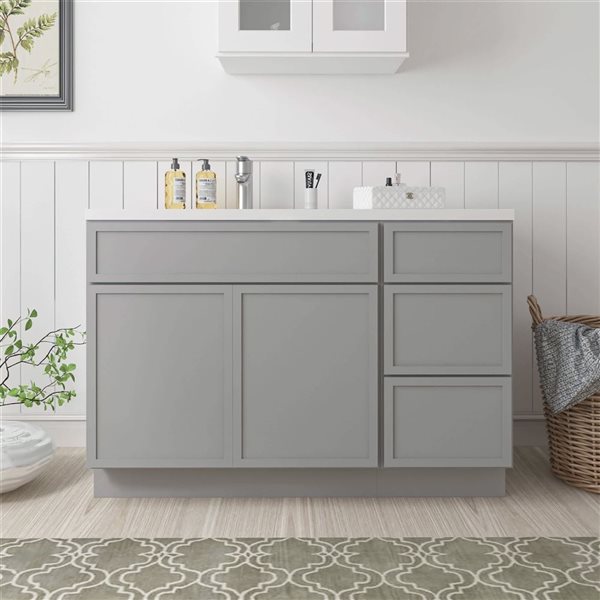 Vanity Art 54-in W x 21-in D x 32.5-in Freestanding Bath Vanity Birch Cabinet without Top - Grey
