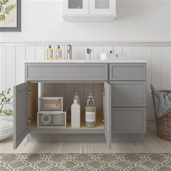 Vanity Art 54-in W x 21-in D x 32.5-in Freestanding Bath Vanity Birch Cabinet without Top - Grey