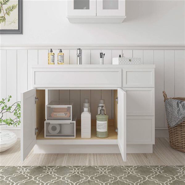 Vanity Art 42-in W x 21-in D x 32.5-in Freestanding Bath Vanity Birch Cabinet without Top - White