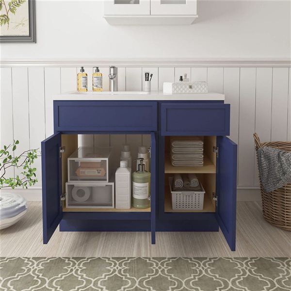 Vanity Art 39-in W x 21-in D x 32.5-in Freestanding 1-Drawer Bath Vanity Birch Cabinet without Top - Blue