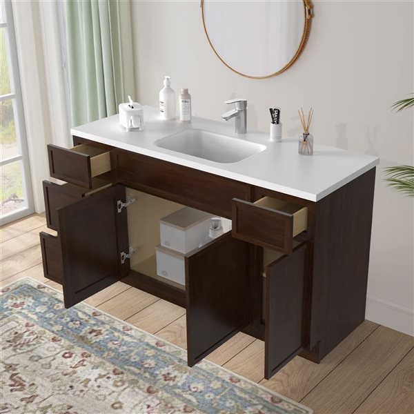 Vanity Art 60-in W x 21-in D x 32.5-in Freestanding Bath Vanity Birch Cabinet without Top - Brown