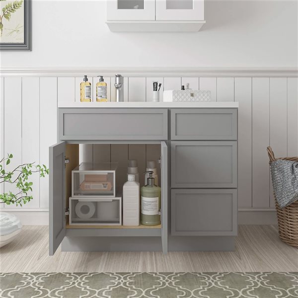 Vanity Art 39-in W x 21-in D x 32.5-in Freestanding Bath Vanity Birch Cabinet without Top - Grey