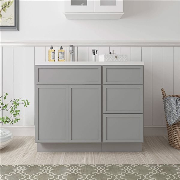 Vanity Art 39-in W x 21-in D x 32.5-in Freestanding Bath Vanity Birch Cabinet without Top - Grey
