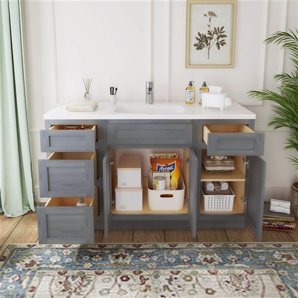 Vanity Art 54-in W x 21-in D x 32.5-in Freestanding Bath Vanity Oak Cabinet without Top - Silver