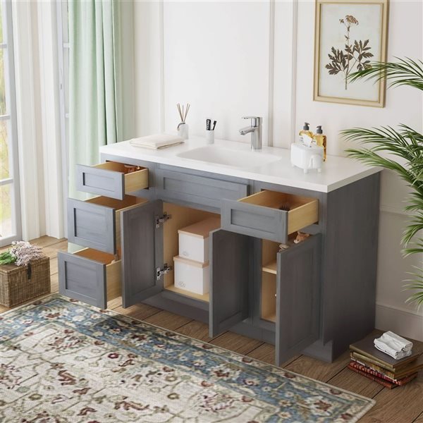 Vanity Art 54-in W x 21-in D x 32.5-in Freestanding Bath Vanity Oak Cabinet without Top - Silver