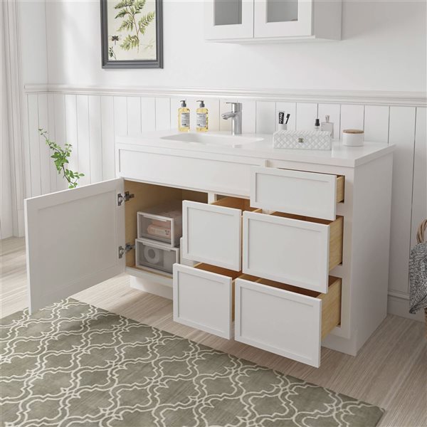 Vanity Art 51-in W x 21-in D x 32.5-in Freestanding 5-Drawer Bath Vanity Birch Cabinet without Top - White