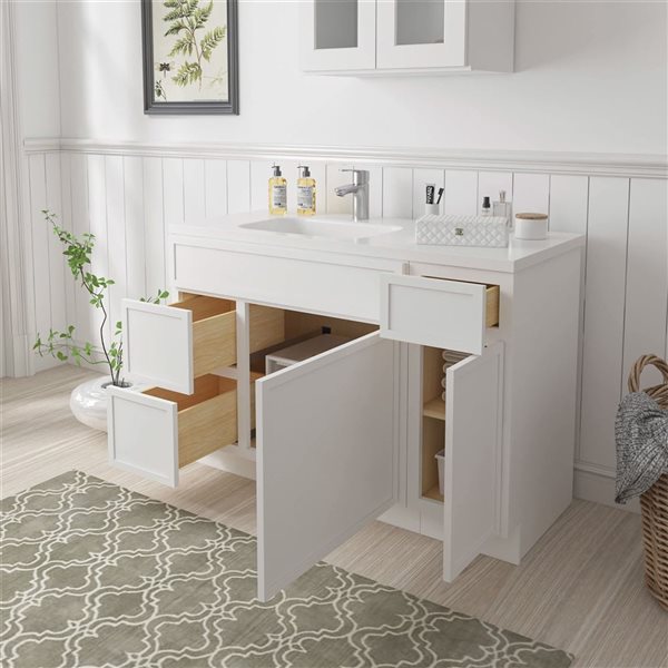 Vanity Art 48-in W x 21-in D x 32.5-in Freestanding 2-Left-Drawer Bath Vanity Birch Cabinet without Top - White