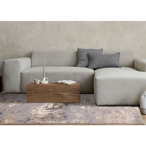 Rug Branch Zephyr 5 x 8-ft Modern Distressed Area Rug - Taupe