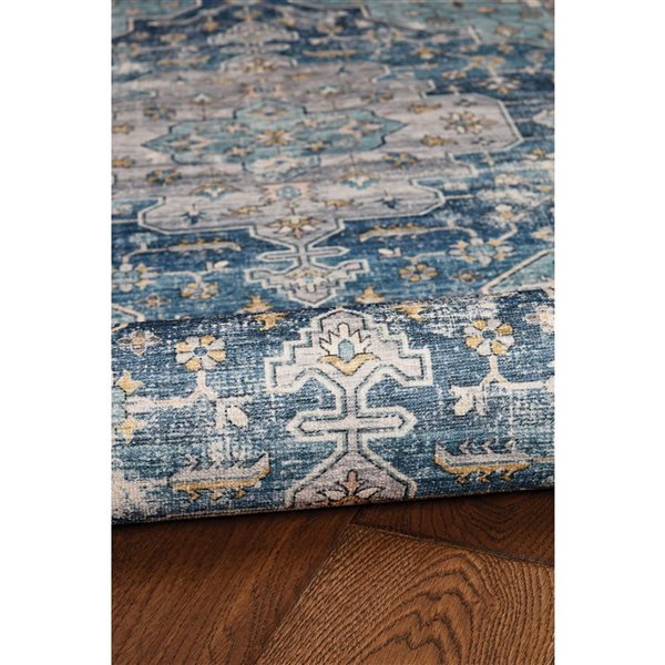 Linon Home Decor Washable Sariah 5 x 7-ft Area Rug - Teal/Ivory