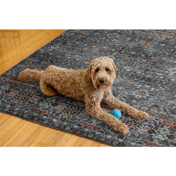 Linon Home Decor Washable Grant 5 x 7-ft Area Rug - Teal/Ivory