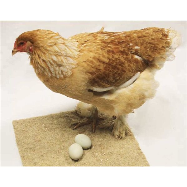 Terrafibre Composite Poultry Nesting Sheets