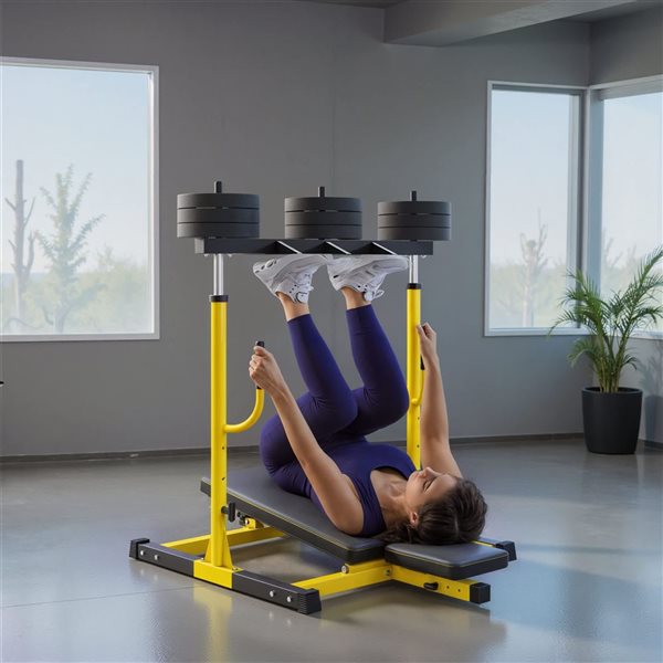 Soozier Adjustable Leg Extension and Curl Machine for Home Gym