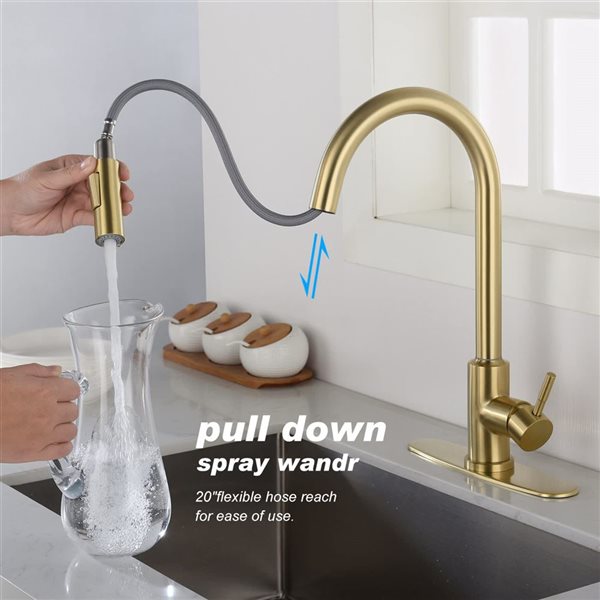 Clihome Single-Handle Kitchen Faucet w/ Pull-Down Sprayhead - Brushed Gold