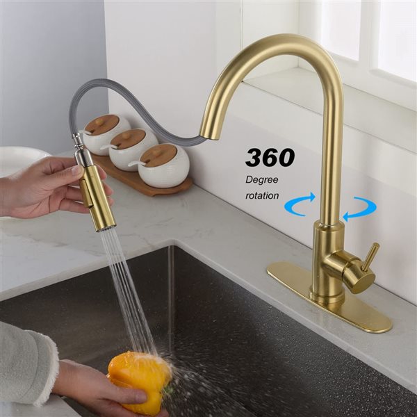 Clihome Single-Handle Kitchen Faucet w/ Pull-Down Sprayhead - Brushed Gold