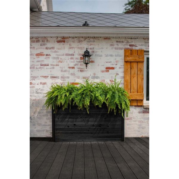 Vita Mezza Parklette 59-in L x 16-in W x 32-in H Cedar Planter