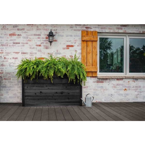 Vita Mezza Parklette 59-in L x 16-in W x 32-in H Cedar Planter