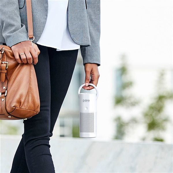 Pure Enrichment PureZone 3-Speed 6-ft³ Portable HEPA Air Purifier