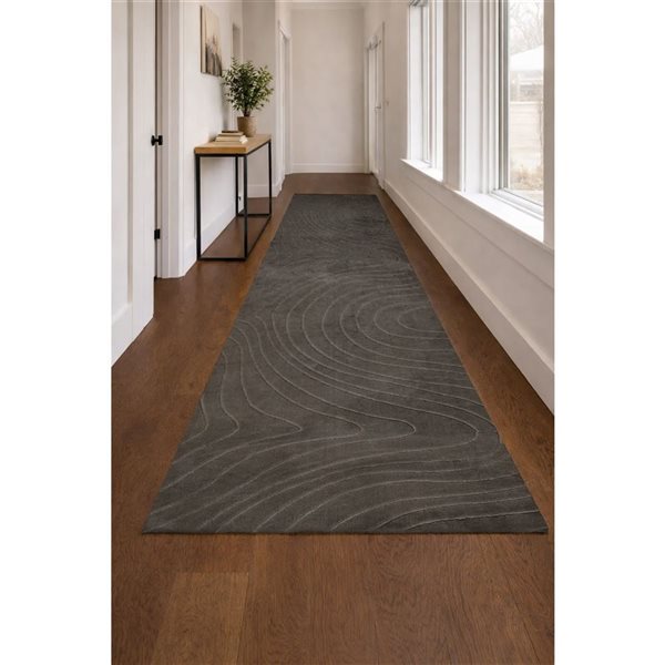 ECARPET Somos Contemporary Washable Rug - 2-ft 8-in x 8-ft - Charcoal