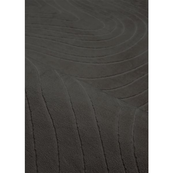 ECARPET Somos Contemporary Washable Rug - 2-ft 8-in x 8-ft - Charcoal