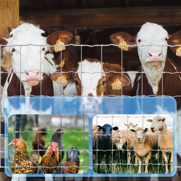 Fencer Wire Graduated Mesh Galvanized Steel Knotted Farm Fence - 12.5/10 Gauge - 4 x 100-ft