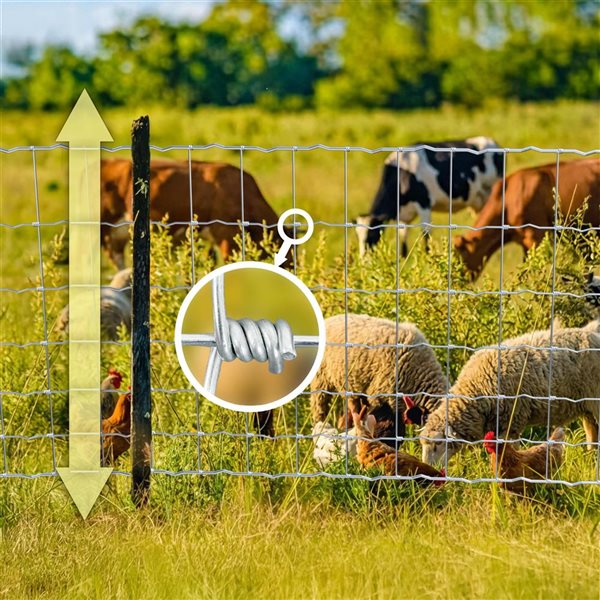 Fencer Wire Graduated Mesh Galvanized Steel Knotted Farm Fence - 12.5/10 Gauge - 5 x 50-ft