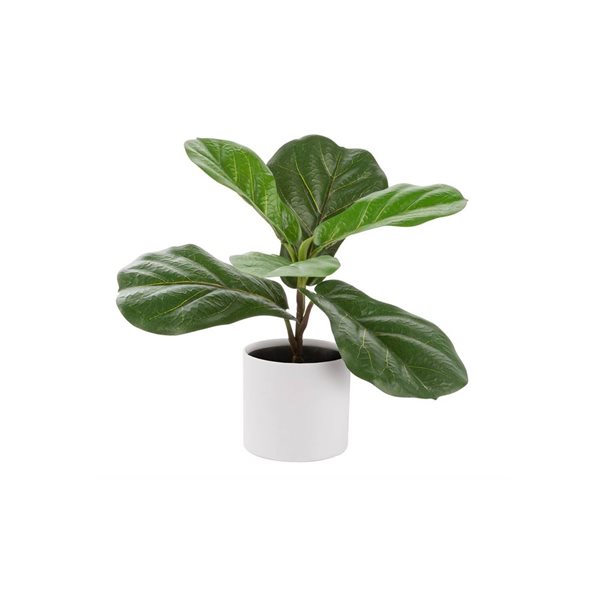 Naturae Decor 12-in Artificial Ficus