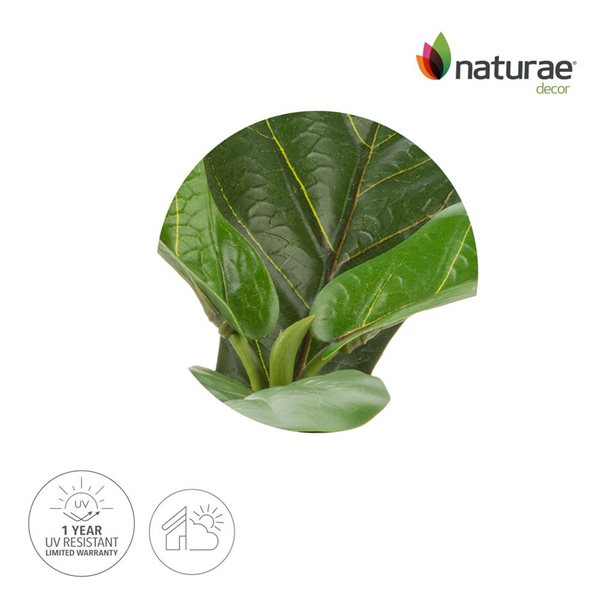 Naturae Decor 12-in Artificial Ficus