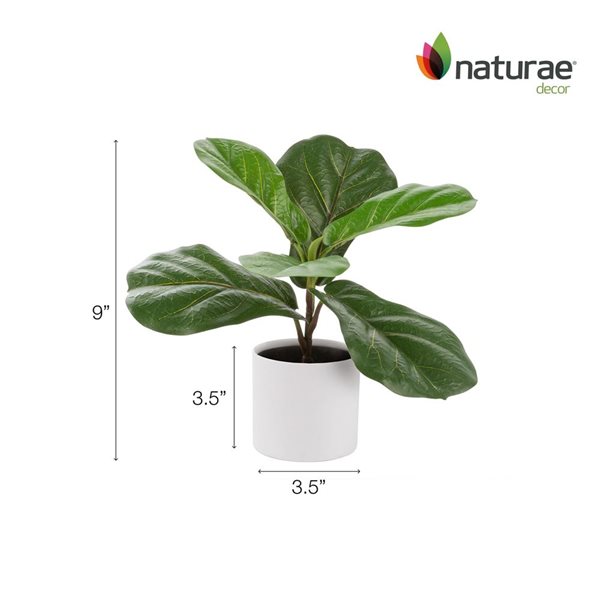 Naturae Decor 12-in Artificial Ficus