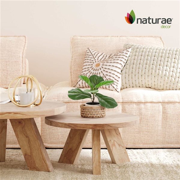 Naturae Decor 12-in Artificial Ficus