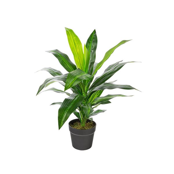 Naturae Decor 25-in Artificial Dracaena