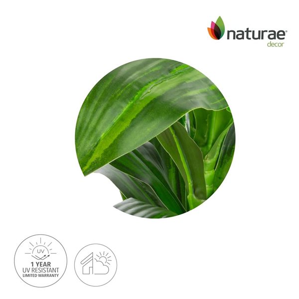 Naturae Decor 25-in Artificial Dracaena