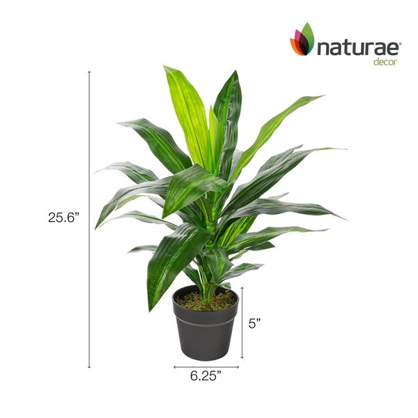 Naturae Decor 25-in Artificial Dracaena