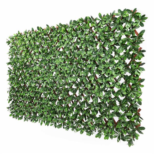 Naturae Decor 36 x 72-in PVC Expandable Trellis