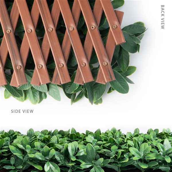 Naturae Decor 36 x 72-in PVC Expandable Trellis