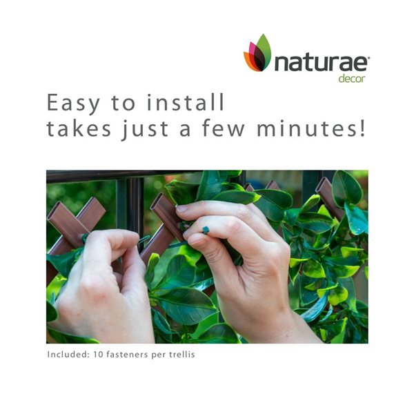 Naturae Decor 36 x 72-in PVC Expandable Trellis