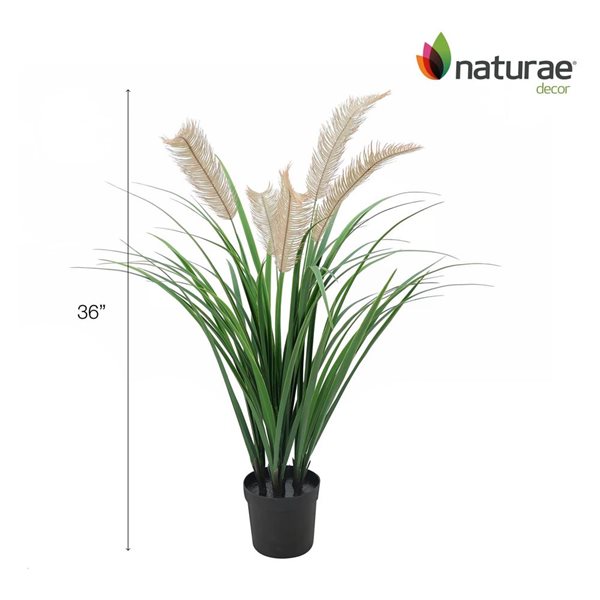 Naturae Decor 36-in Artificial Black Grass