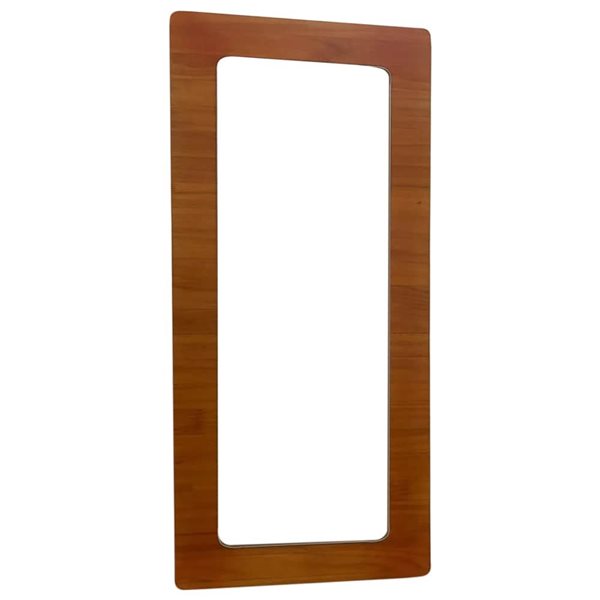 Mirrorize Canada Rectangle Wall Mirror 18 x 42-in - Brown
