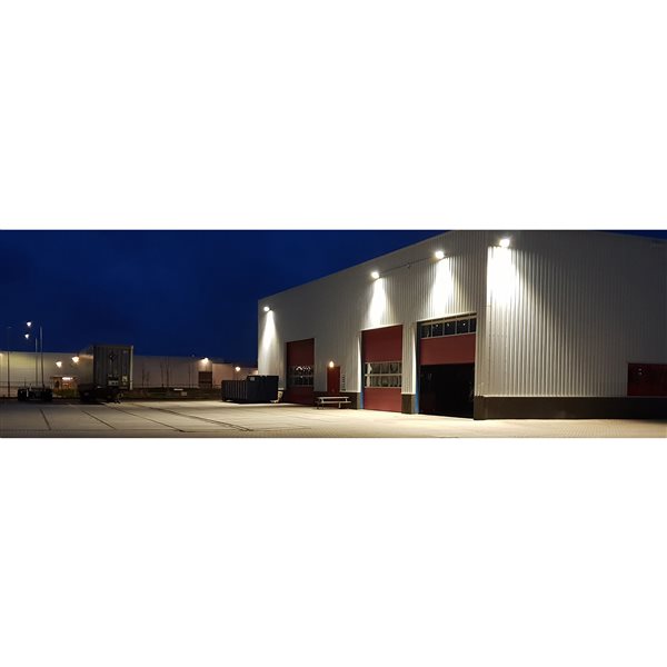 TorontoLed Wall Light w/ Photocell Dusk-to-Dawn Sensor + Selective 80 W/60 W/40 W 3CCT