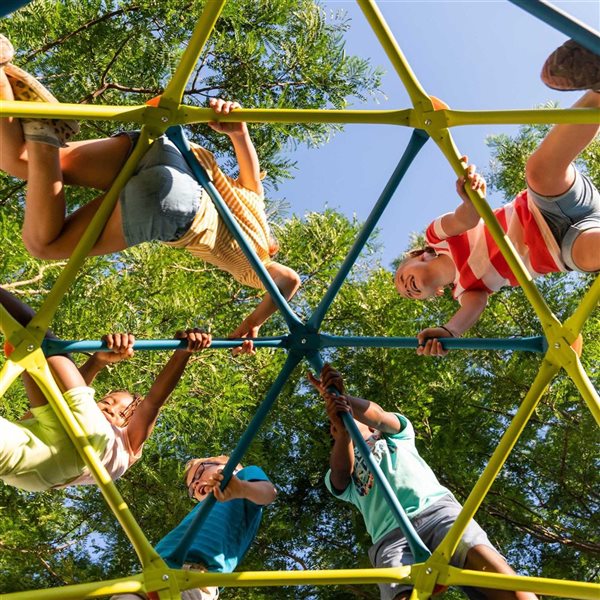 LIFETIME Metal Climbing Tower
