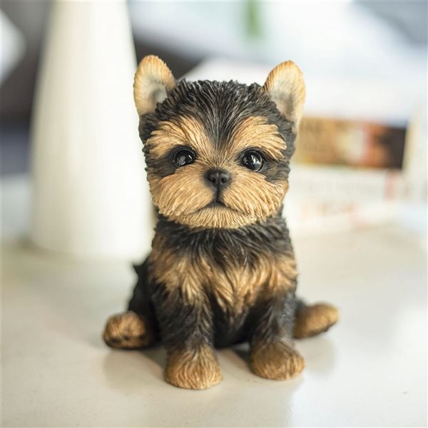 SoReal Yorkshire Terrier Decorative Figurine for Home and Office - Brown