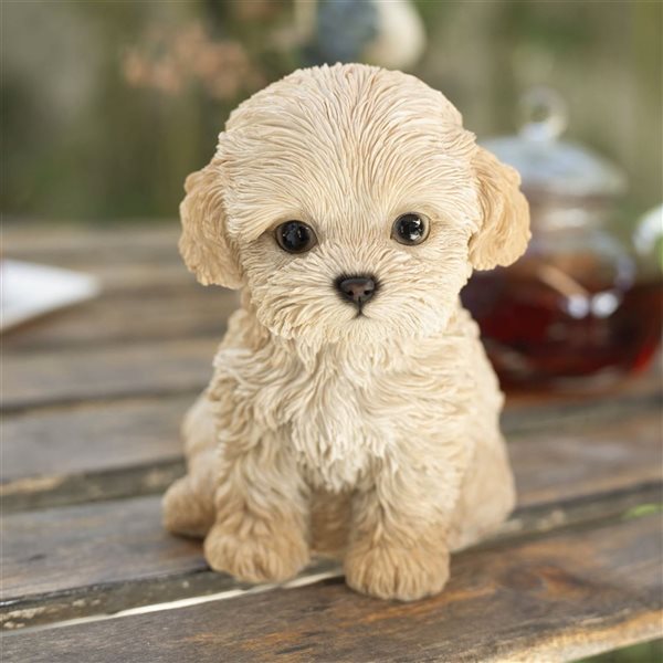 SoReal Labradoodle Puppy Decorative Figurine for Home and Office - Brown