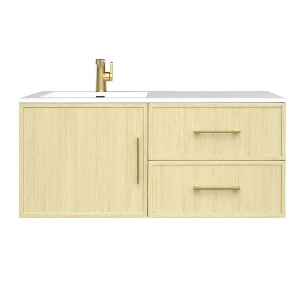 Razza 42 in. W x 18 in. D x 20 in. H Single Sink Wall Mounted Bath Vanity in Lago with Gold Handle
