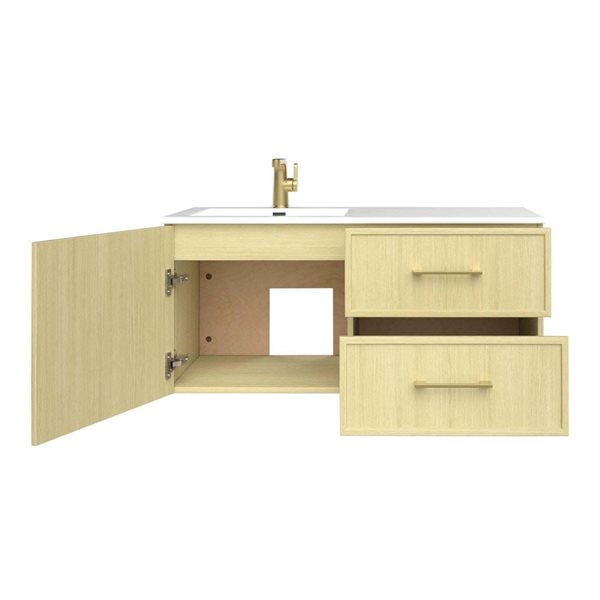 Razza 42 in. W x 18 in. D x 20 in. H Single Sink Wall Mounted Bath Vanity in Lago with Gold Handle