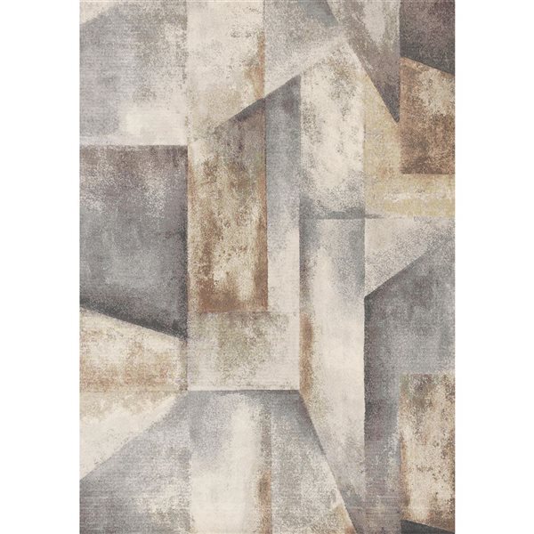 Rug Branch Aethera Area Rug Distressed Contemporary 8 x 11-ft - Grey