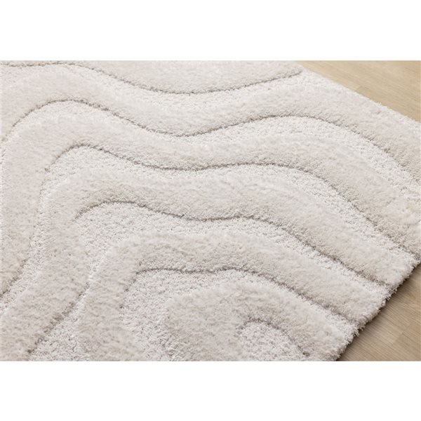 Rug Branch Intrigue Area Rug Organic Modern 5 x 8-ft - White